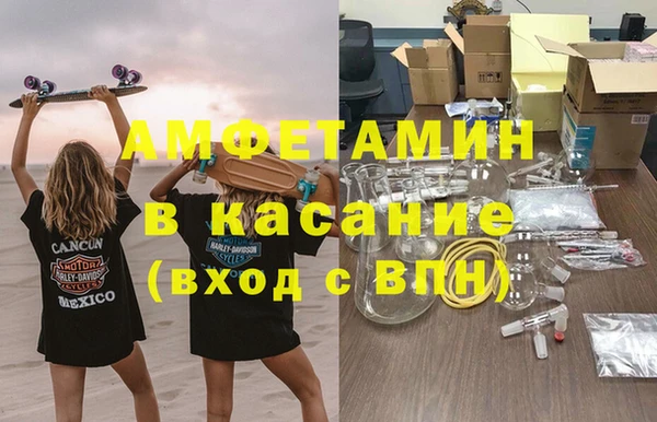 сатива Новокубанск
