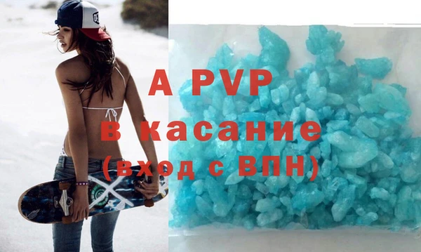 сатива Новокубанск
