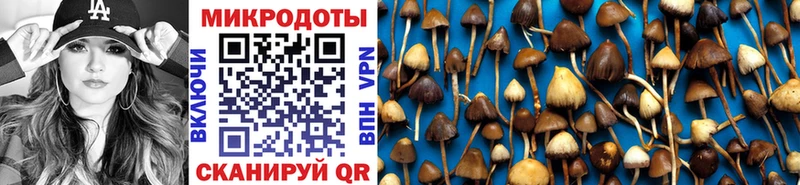 Галлюциногенные грибы Psilocybine cubensis Луховицы